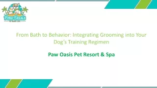 From Bath to Behavior: Integrating Grooming into Your Dog’s Training Regimen