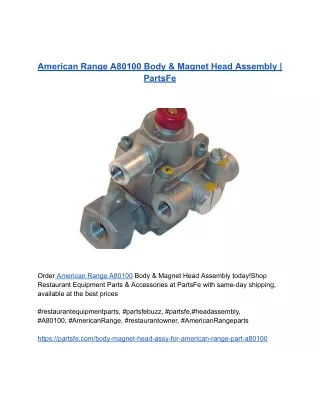 American Range A80100 Body & Magnet Head Assembly _ PartsFe