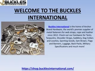 Stainless Steel Heavy-Duty D-Rings | Buckles International