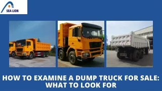 How to Examine a Dump Truck for Sale What to Look for