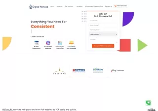 Best Digital Marketing Company - Digital Homeez