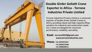 Double Girder Goliath Crane Exporter in Africa - Torrane Industries Private Limited