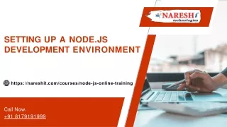 Setting up a Node.js Development Environment