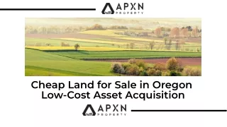 Cheap Land for Sale in Oregon Low-Cost Asset Acquisition