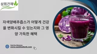 자색 양파 주스의 놀라운 건강 효능: 항산화제와 비타민으로 전반적인 건강을 강화하는 방법