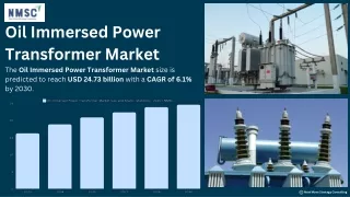 Oil Immersed Power Transformer Market: Growth and Trends