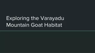 Exploring the Varayadu Mountain Goat Habitat