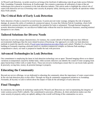 Improving Water Security: Insights from Wizard Leak Detection’s Expertise Across