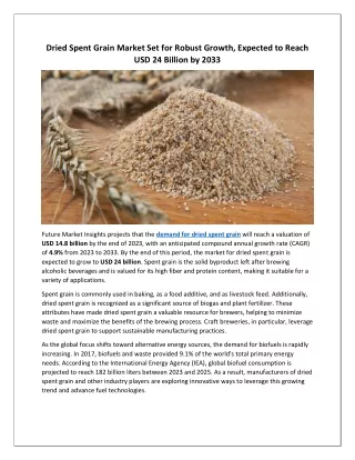 Dried Spent Grain Market