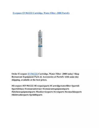 Everpure EV961222 Cartridge, Water Filter -2000 PartsFe