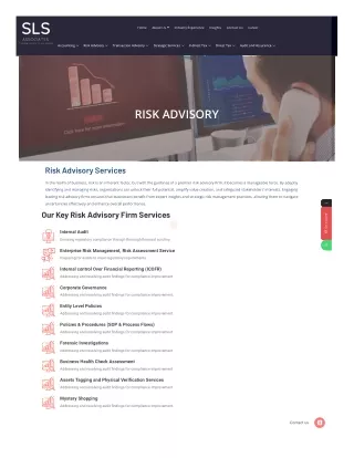 Risk Advisory Firms