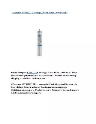 Everpure EV961227 Cartridge, Water Filter -2000 PartsFe