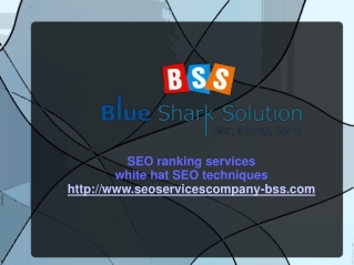 Improve your company website with best SEO solutions