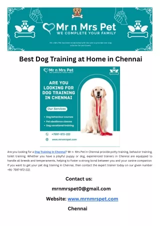 Best Dog Training at Home in Chennai