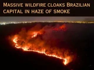 Massive wildfire cloaks Brazilian capital in haze of smoke