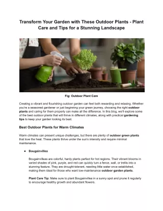 Transform Your Garden with These Outdoor Plants - Plant Care