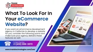 What To Look For In Your eCommerce Website?