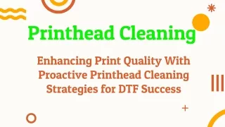 Proactive Printhead Cleaning for Avoiding Common DTF Clog Problems