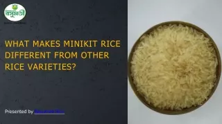 What Makes Minikit Rice Different From Other Rice Varieties?