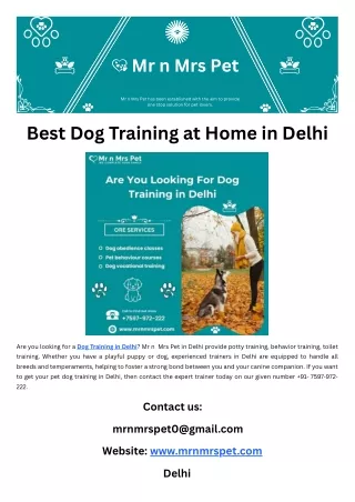 Best Dog Training at Home in Delhi