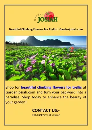 Beautiful Climbing Flowers For Trellis  Gardenjosiah.com