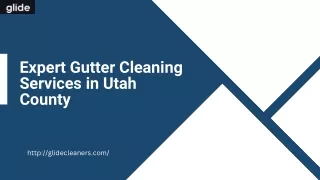 Expert Gutter Cleaning Services in Utah County