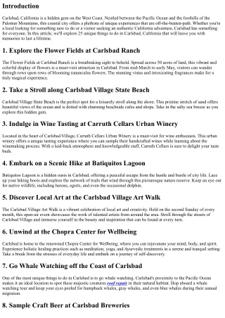 Off-the-Beaten-Path: Unique Things to Do in Carlsbad, California