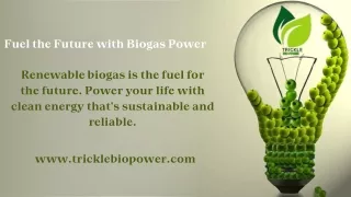 Renewable Energy at Its Best: Biogas