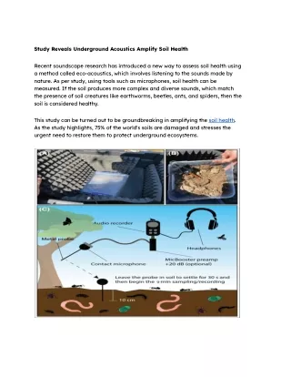 Study Reveals Underground Acoustics Amplify Soil Health