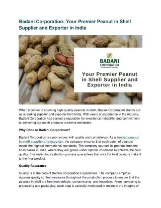 Badani Corporation: Your Premier Peanut in Shell Supplier and Exporter in India