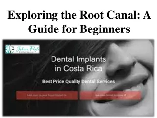 Exploring the Root Canal - A Guide for Beginners