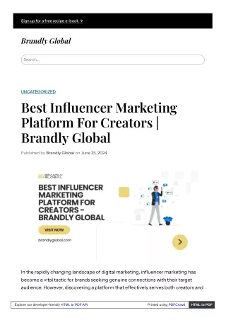 Best Influencer Marketing Platform For Creators  Brandly Global