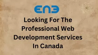 Looking For The Professional Web Development Services In Canada