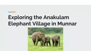 Exploring the Anakulam Elephant Village in Munnar