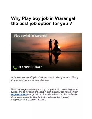 Why Play boy job in Warangal the best job option for you