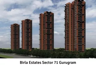 Birla Sector 71 Gurugram PDF