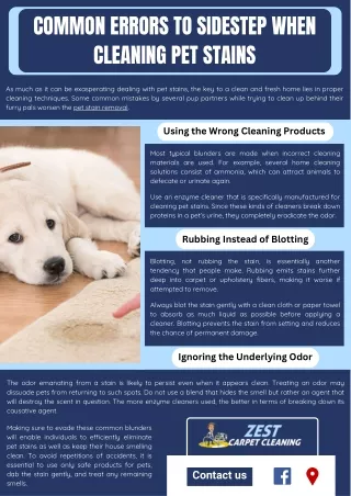 Remove Pet Odor And Stains From Carpet