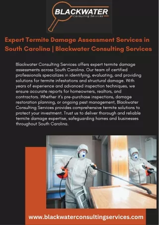 Expert Termite Damage Assessment Services in South Carolina  Blackwater Consulting Services