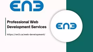 Are You Searching For Professional Web Development Services