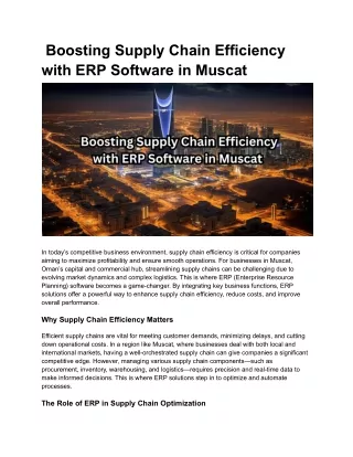 _ERP Solutions Muscat