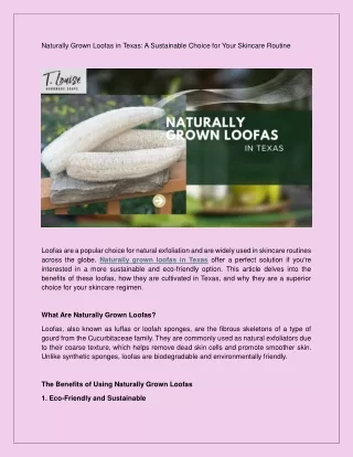 Naturally Grown Loofas in Texas A Sustainable Choice for Your Skincare Routine