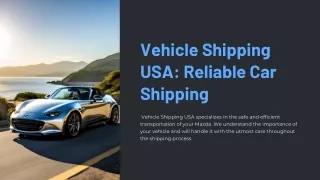 Vehicle Shipping Usa