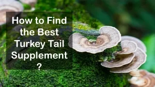 How to Find the Best Turkey Tail Supplement?