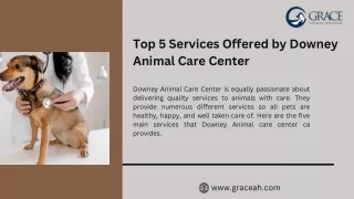 Top 5 Services Offered by Downey Animal Care Center