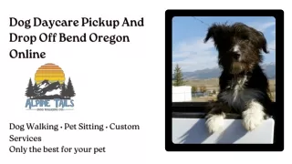 Dog Daycare Pickup And Drop Off Bend Oregon Online