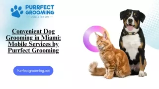 Convenient Dog Grooming in Miami: Mobile Services by Purrfect Grooming