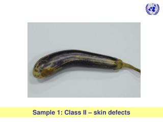Sample 1: Class II – skin defects