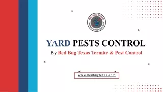 Effective Mosquito & Flea Treatment For Yard