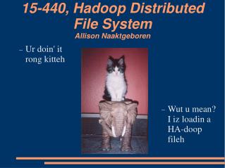 15-440, Hadoop Distributed File System Allison Naaktgeboren
