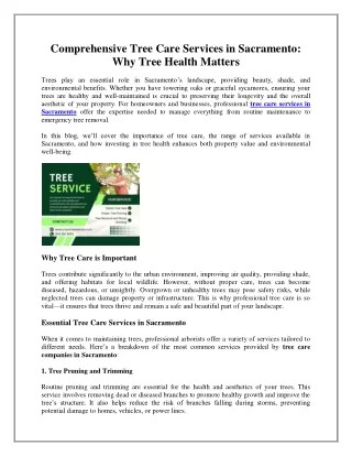 Comprehensive Tree Care Services in Sacramento: Why Tree Health Matters